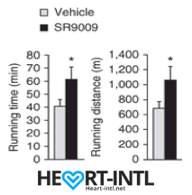 sr9009 Stenabolic studies