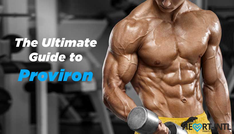 Proviron to possess muscle mass get Performance, Ill effects, And you will Dosage